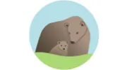 Brown Bear Creative