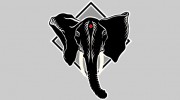 Black Diamond Graphics