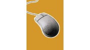 Web Site Design & Development
