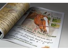 Print & Web Ad Dessign