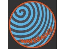 Custom Logo Design