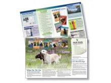 Double Sided Flyer Example