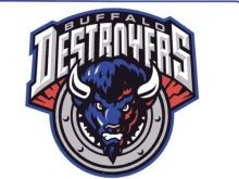 Logo for Pro Indoor Arena Football team