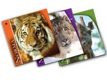 Wildlife Conservation Society