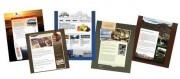 Website Design & Development