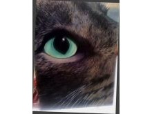 Original Canvas Painting