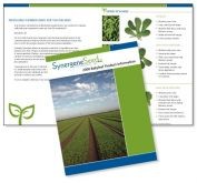 Product catalog design/layout