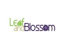 Custom Logo Design